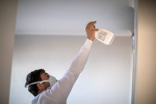 Best Bathroom Mold Remediation in Monona, IA