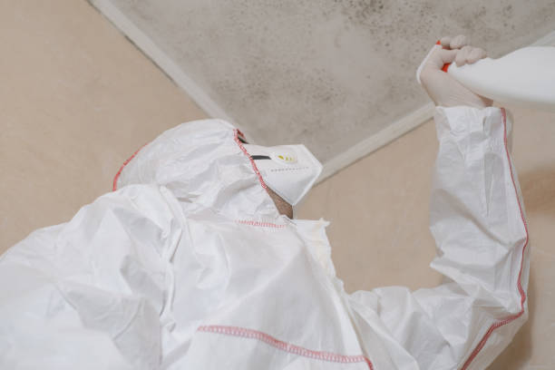 Professional Mold Remediation in Monona, IA